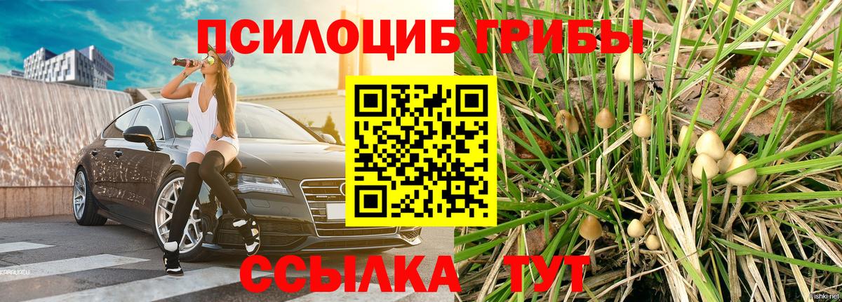 Галлюциногенные грибы прущие грибы Малгобек