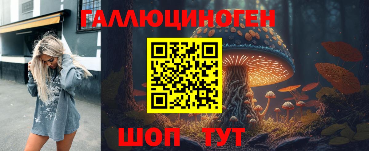 Малгобек  Псилоцибиновые грибы мухоморы  Вход с VPN 